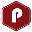 pioneer packaging profile picture